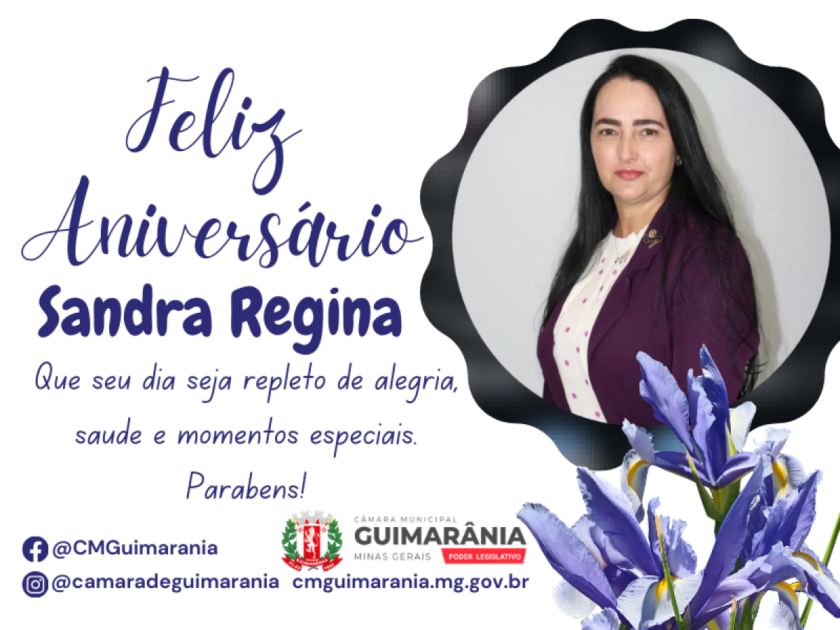 Feliz Aniversário Sandra Regina 